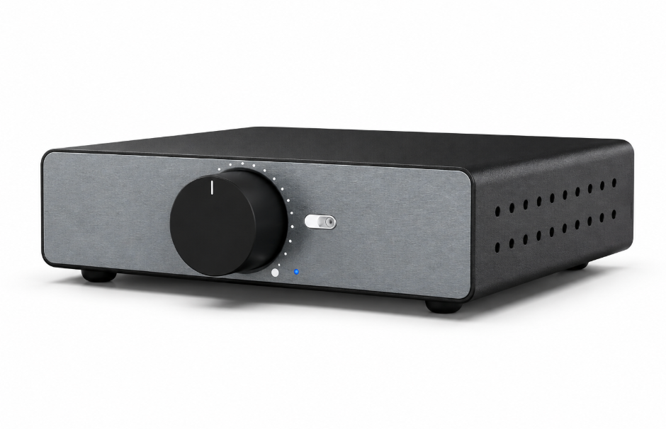 Amplificateur Stéréo Classe D 2 x 300 W, Pontable en Mono 600 W