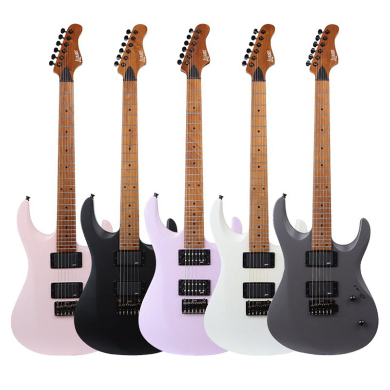 Guitare Électrique Érable, Finition Mate, Double Micro ALNICO